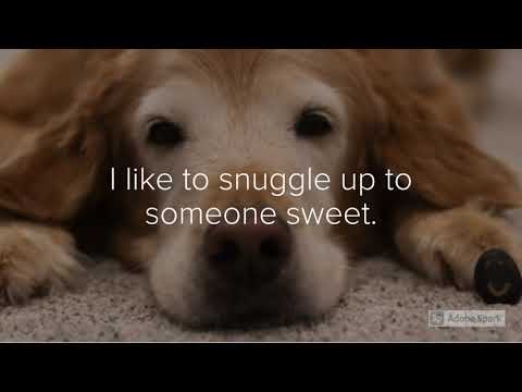 Ishi is a little rock with some big ideas