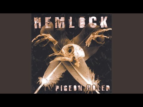 Pigeonholed video thumbnail