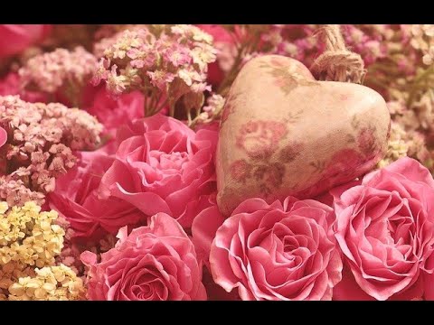 💖 Single Liebesorakel 💖