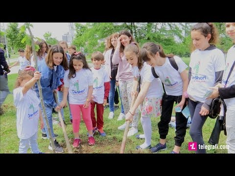 Al Trade Center mbjell fidanë për ditën Ndërkombëtare të fëmijëve, 1 Qershori