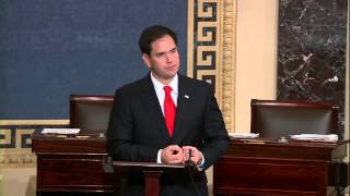 Rubio Discusses New Immigration Bill On The Senate Floor