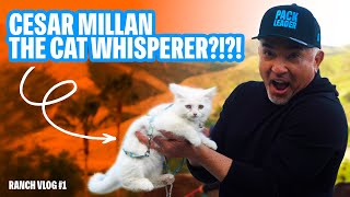 CESAR MILLAN THE CAT WHISPERER? + NEW MERCH! | RANCH VLOG #1