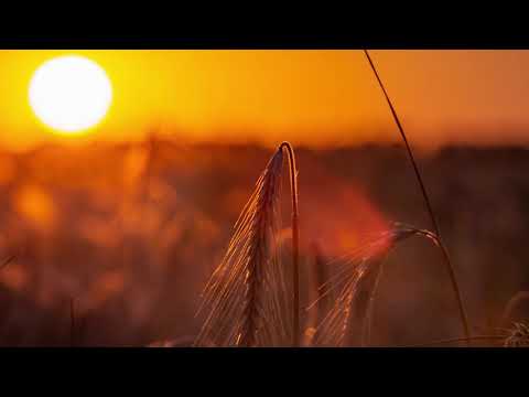 Puiu Chibici si Dorin Cazacu - De atatea ori la crucea Ta