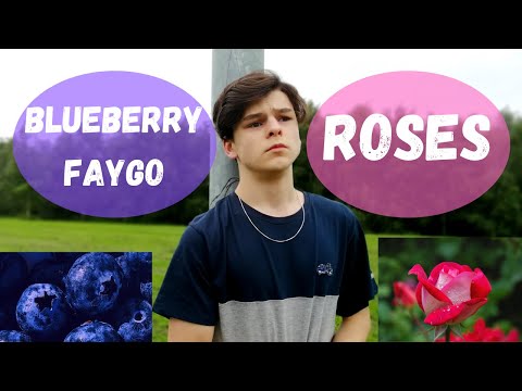 Roses/Blueberry Faygo - Lil Mosey/Imanbek Remix/Saint Jhn (Mashup by Andrew Harten)