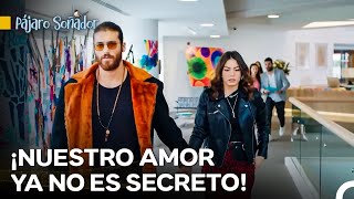 Download lagu El Hombre Toma La Mano De La Mujer Y Sale Frente A Todos - Pájaro Soñador mp3