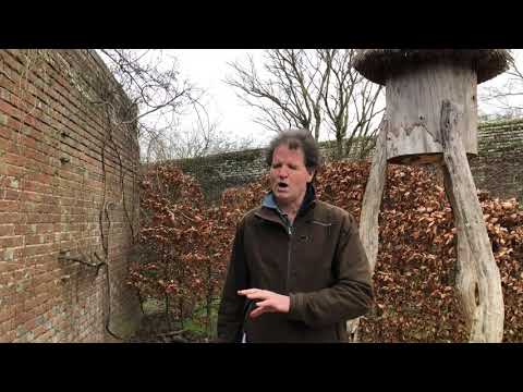 Rewilding with Tom Stuart-Smith, Knepp Walled Garden