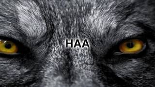 Powerwolf Werewolf of Armenia subtitulado español