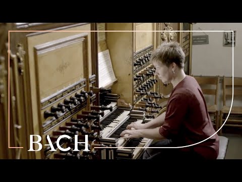 Bach - Vom Himmel hoch da komm ich her BWV 700 - Te Lindert | Netherlands Bach Society