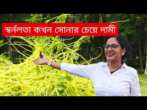 স্বার্নলতার উপকারীতা | Cuscuta Reflexa Roxb