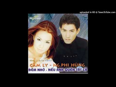 Riêng một nỗi buồn (Thật khó để diễn tả thành lời - yī yán nán jìn - 一言难尽) - Nguyễn Phi Hùng