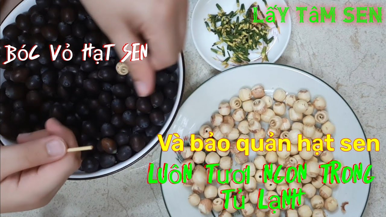 Cách Nấu Chè Hạt Sen Khô