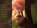 Saya Takagi Edit Highschool Of Dead What A Shame