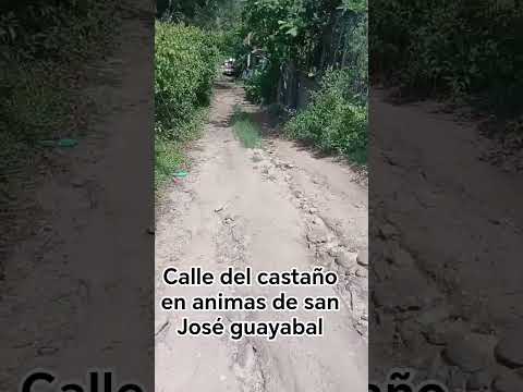 Calle del castaño en animas de san José guayabal 🌎