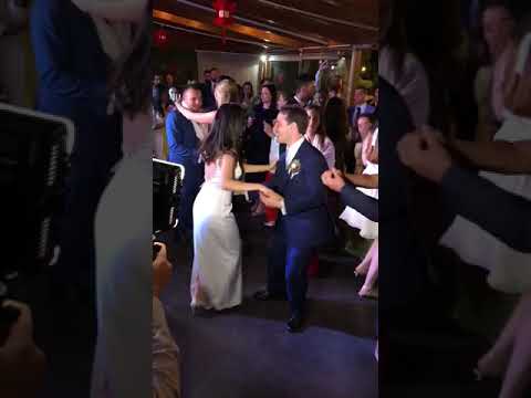 The Gallivants - Stuck in the middle with you