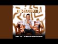 Ntshamisekile