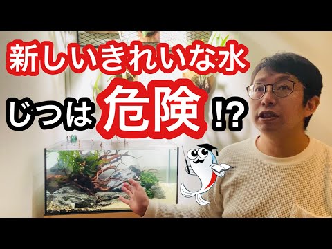水槽の水が凍らないようにするにはどうすればよいですか?冬に幸せな鳥を育てるための簡単なヒント  庭園