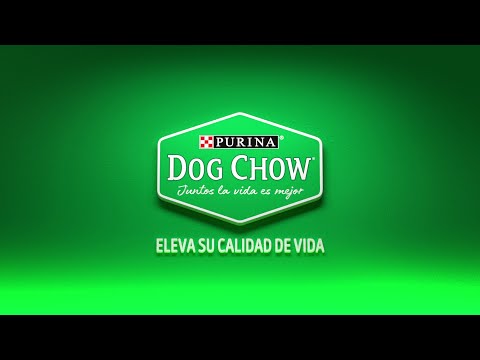 Conoce los nuevos sabores de Dog Chow® para tu engreído