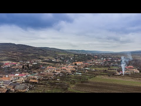 Idrifaia - Héderfája