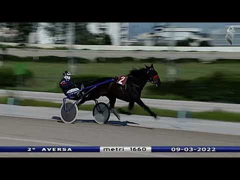 Aversa trotto 9 Marzo 2022 - 2° Corsa