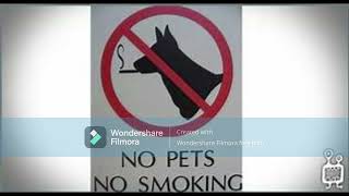 nopets-allowed smoke lyrics