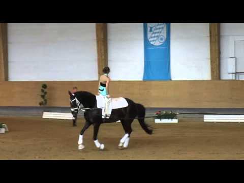 Sophia Stangl - Pferd International 2014