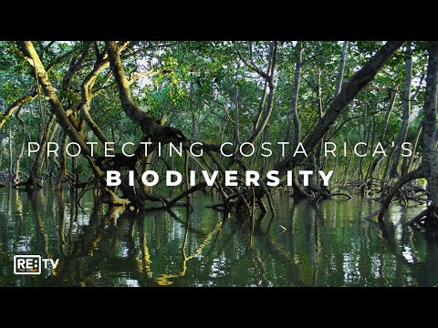 [TEMP] Community Mangrove Conservation