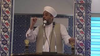 هل هذا بندريتا الحقيقي Among Us أغاني Mp3 مجانا