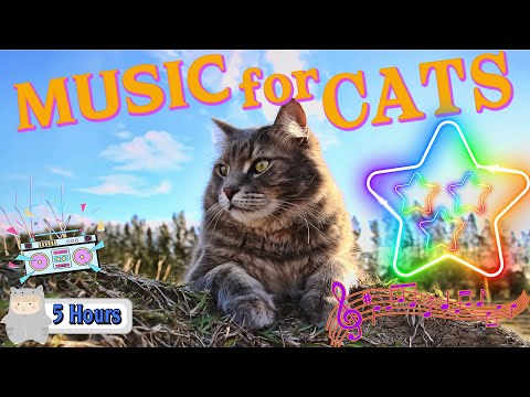 LONGEST EVER Music for Cats - 5 Hour Relaxation Lullaby! 5 hours relaxing music for cats
