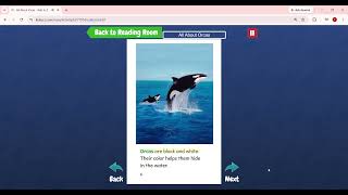 Level E.All About Orcas
