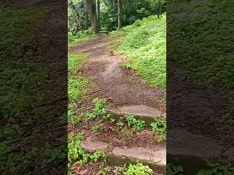Quebrada de Lules, Tucumán Argentina.