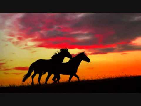 Tame As The Wild Ones video