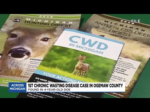 DNR reports first CWD-positive deer in Ogemaw Co.