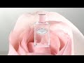 Kvepalai moterims Prada Infusion D'Iris EDP, 50 ml