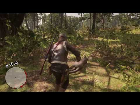 Explore Red Dead Redemption 2 World - Survive From Legendary Panther