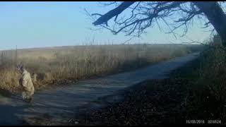 Re: [新聞] 一用大疆無人機就遭定位砲轟 烏克蘭海陸