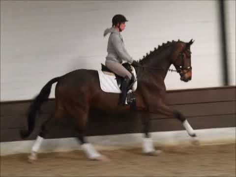 LONDON 5j. v. Londontime - Riccione -for sale-