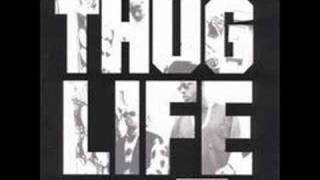 Thug Life - Cradle to the Grave