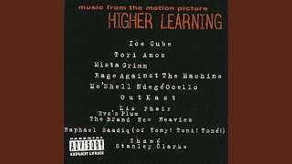 Year Of The Boomerang