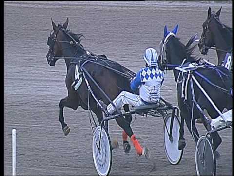 Trotto 07/10/2016 - 1ª corsa