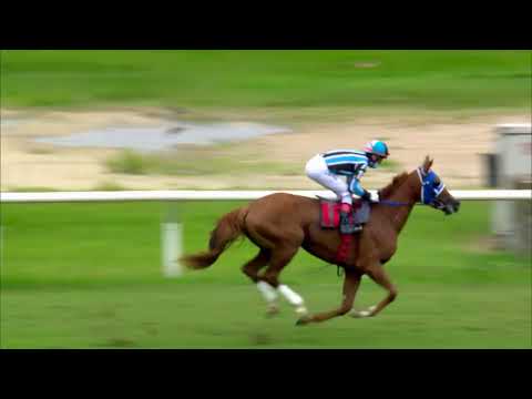 220227 c08 ALKIDA (BRZ)