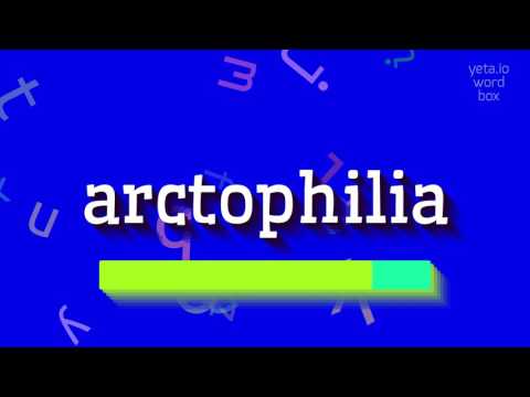 HOW TO SAY ARCTOPHILIA? #arctophilia