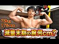 恒例!減量末期の腕周り何cm?パンプ後は何cm?
