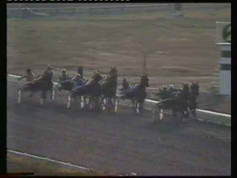 1983 NZ Derby Stakes - Addington, Christchurch: Mighty Me