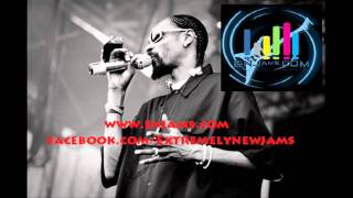 Bob Sinclar feat. Snoop Dogg - Wild Thing (Full Download)