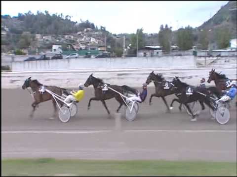 Trotto 05/03/2017 - 2ª corsa