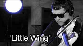Little Wing | Patrick Contreras