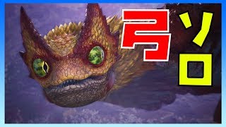 プケプケ亜種にソロ弓で挑むも尋常じゃない強さだった 【モンスターハンターワールドアイスボーン】