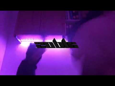 aldos - flexin (reupload)