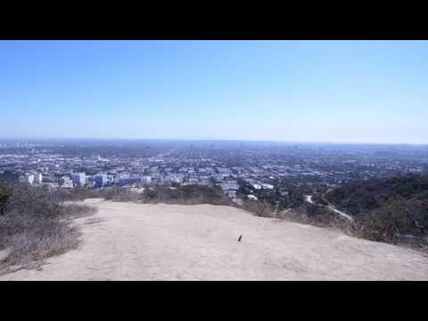 Los Angeles Beautiful City