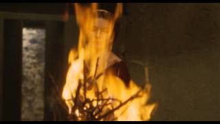 Ferris Wheel - Piscean Ride